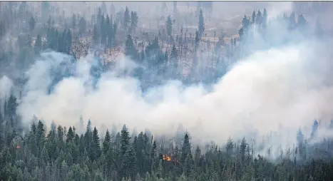  ?? DARRYL DYCK/THE CANADIAN PRESS ?? The Shovel Lake wildfire near Fort Fraser is just one of the 2,015 wildfires that raged this year in British Columbia.