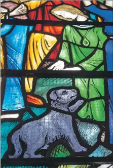  ?? Photograph: Iain Ferguson, alba.photos ?? Mystery dog in the Easter window.