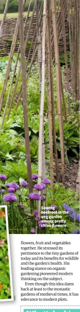  ??  ?? Sowing beetroot in the veg garden among pre y chive flowers