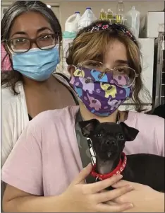  ??  ?? ADOPTER: Sonya Bruce
CITY OF RESIDENCE: Yuma
PET’S NAME: Shuri
AGE: 3 months
BREED: Chihuahua mix
DATE ADOPTED: October 2020