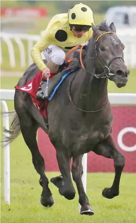  ??  ?? BIG RUNNER. Defoe, unbeaten this season, looks the right one in the gruelling 2800m St Leger at Doncaster on Saturday, particular­ly because the ground will probably be testing.