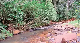  ?? ?? El proyecto también se enfocan en la conservaci­ón de las fuentes de agua.