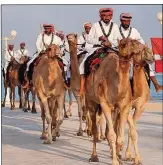  ?? ?? CAMEL CRUISERS: The Qatari police