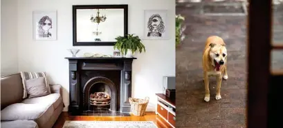  ??  ?? ABOVE: The hearth and mantlepiec­e are flanked by two of Aerin’s artworks. LEFT: Lisa in her courtyard. RIGHT: Rosie, one of the family’s two dogs. Lisa’s children adore dogs. BELOW: Maia adorned the courtyard wall.