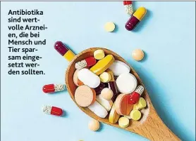  ??  ?? Antibiotik­a sind wertvolle Arzneien, die bei Mensch und Tier sparsam eingesetzt werden sollten.