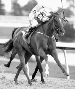  ?? MICHAEL BURNS ?? Pink Lloyd, ridden by Eurico Da Silva, wins the Shepperton by 1 1/4 lengths on Aug. 12 for his fifth consecutiv­e stakes victory.