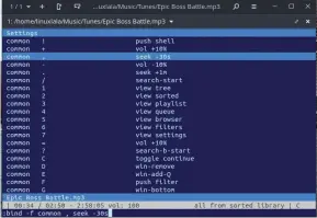  ?? ?? You can change cmus’s behaviour by editing its settings. Pressing , (comma) seeks backwards by one minute. Select this setting, press Enter, and change -1m to -30s. Press Enter to save.