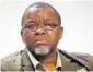  ??  ?? Gwede Mantashe