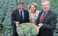  ??  ?? Minister of State at the Department of Agricultur­e, Food and the Marine Andrew Doyle T.D, Tara McCarthy, CEO, Bord Bia, and Minister for Agricultur­e, Food and the Marine, Michael Creed welcoming Supervalu’s announceme­nt of support.