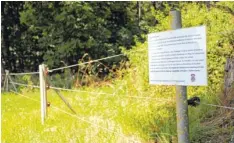  ?? Foto: Jan Kandzora ?? Der sogenannte Wildschutz­zaun im Oettinger Forst bei Eitersberg. Die knapp 22 Kilometer lange Barriere muss nun wohl weg.