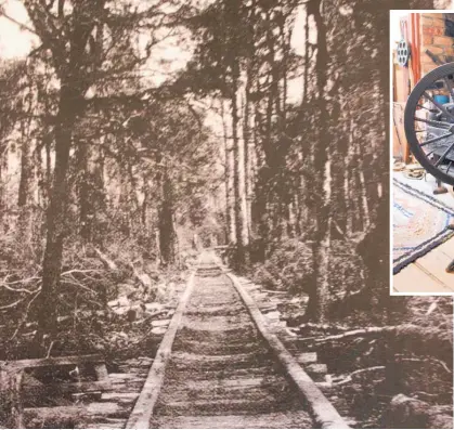  ?? ?? A tramway pushed through dense forest.