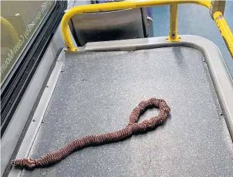  ?? RAMGOAT BUCKAMAN PHOTO ?? A noose-like item was recently found on a Vancouver bus. The driver was told he ‘should hang himself’ with it.