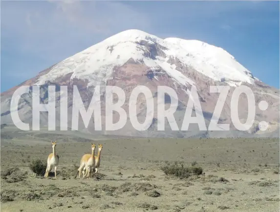  ?? RODRIGO DONOSO ?? The north face of Chimborazo with vicunas running in the foreground. At 6,268 metres, it is the highest mountain in Ecuador and higher than any mountain in North America, Europe or Africa.