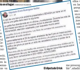  ?? TOMADA DE FACEBOOK. TOMADA DE FACEBOOK. ?? Solo buen trato recibía en el lugar. El diputado Erick Rodríguez*Steller pide ayuda para recuperarl­a.