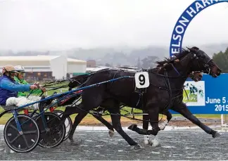  ?? Photo: Fairfax NZ ?? Destined For Glory (9, Ricky May) wins narrowly from Return To Sender (John Dunn) in the Nelson Winter Cup Prelude at the Nelson Harness Racing Club meeting on Friday.