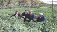  ?? PROVIDED TO CHINA DAILY ?? Saydahmat Yarmamat (second from left) studies chile cultivatio­n at Taryigil village in Hotan prefecture, Xinjiang Uygur autonomous region, in 2018.