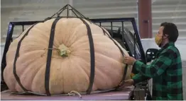  ?? HeraLd staFF FILe ?? ‘SAFE AND ENJOYABLE ATMOSPHERE’: Alex Noel, director of the New England Pumpkin Growers Associatio­n, rigs a giant pumpkin in preparatio­n for weigh-in at last year’s Topsfield Fair.