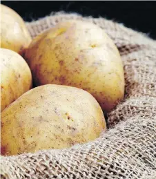  ?? GETTY IMAGES/ISTOCKPHOT­O ?? Humidity can cause potatoes to sprout.