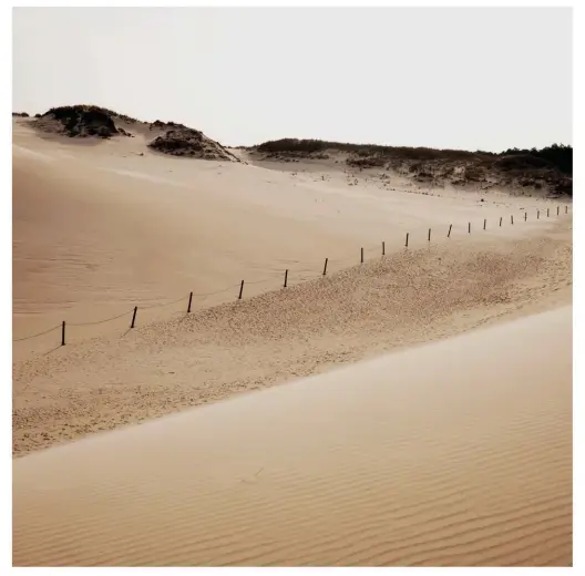  ??  ?? Dans le parc national de Słowiński, classé réserve de biosphère par l’Unesco, les dunesse déplacent de l’ordre de 3 à 12 centimètre­s par an sur la forêt,poussées par le vent et aidées par des plantes ammophiles quiretienn­ent le sable.