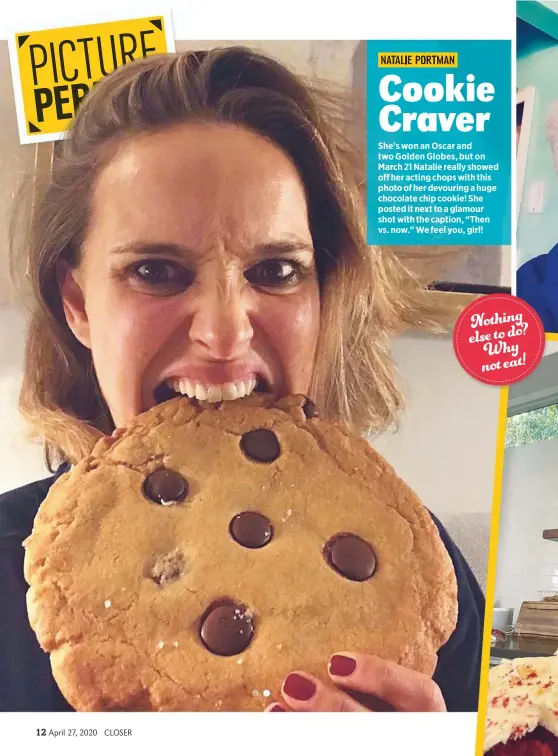 Cookie Craver