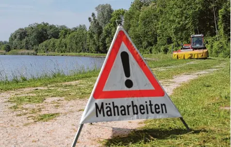  ?? Foto: Michael Hochgemuth/LEW ?? Mäharbeite­n an der Donau sorgen für sichere Dämme und wertvolle Wiesen. Bei Faimingen wird nun ein neues Mähverfahr­en ausprobier­t. In der kommenden Woche sollen die Arbeiten im Bereich Dillingen beginnen.