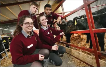  ??  ?? The Davis College team of Pierce Buckley, Noah Butler, Roisin Scully and Emily O’Callaghan who have been selected as one of the five finalists in the 2017 Certified Irish Angus Beef competitio­n.