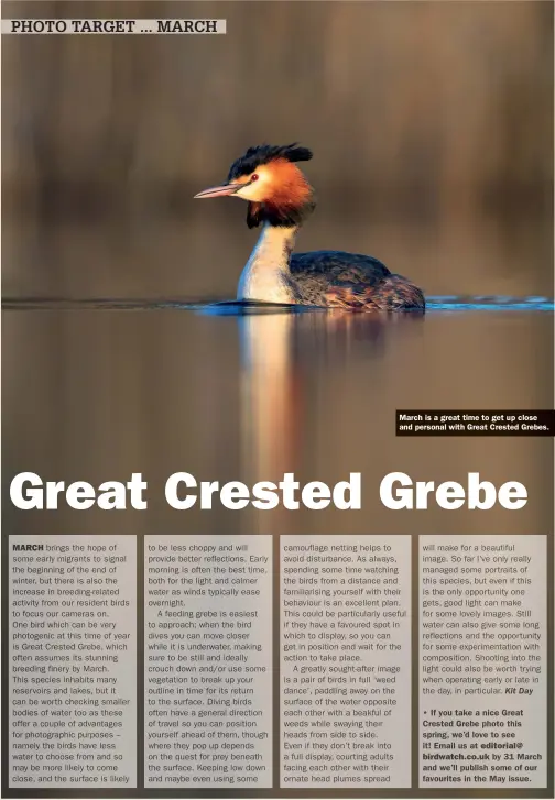  ?? ?? March is a great time to get up close and personal with Great Crested Grebes.