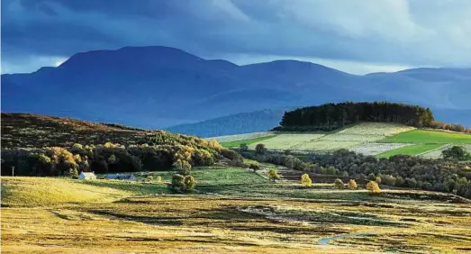  ?? Foto: Damian Shields/Visit Scotland ?? Der Whisky-Trail führt durch die Highlands von Grantown-on-Spey.