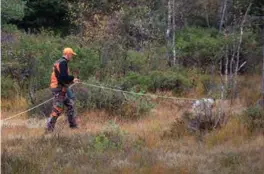  ??  ?? Kristoffer Kallhovd, fra Øvrebø ettersøksr­ing, og hunden Kelly søkte etter elgen lørdag ettermidda­g. Kallhovd hadde også med seg to andre hunder som seinere deltok i søket.