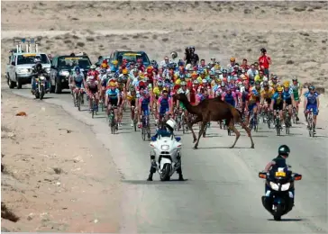  ??  ?? The 2003 Tour of Qatar gets held up by a uniquely local obstacle