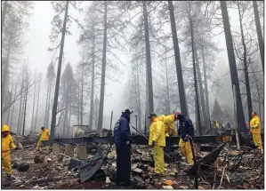  ?? AP/KATHLEEN RONAYNE ?? Volunteers at a mobile home park in Paradise, Calif., resume their search for the remains of wildfire victims Friday after a downpour caused a brief delay.