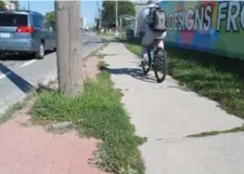  ?? JACK LAKEY/TORONTO STAR ?? The city seems reluctant to use household products, such as vinegar, to deal with pesky weeds that sprout up along the sidewalk and curb.