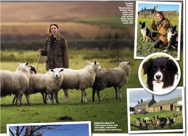  ??  ?? FLOCK STAR: Shepherdes­s Emma Gray, main, and right with two of her dogs. Inset below, her collie Bill
REMOTE BEAUTY: Fallowlees Farm, left and right, remained unchanged for centuries