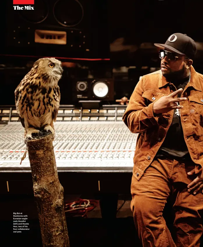  ??  ?? Big Boi at Stankonia with Eurasian eagleowls Hoodini (left) and Hootie Hoo, two of his four collaborat­or owl pets