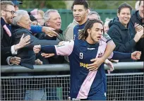  ??  ?? Trouble ahead: Dulwich Hamlet supporters have plenty to cheer on the pitch but off it the club are facing a lengthy battle with the stadium owners