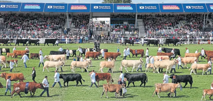  ??  ?? SHOW ONLINE: Main picture then clockwise: The grand parade of livestock at 2017’s Royal Highland Show; RHASS chairman Bill Gray; Charolais bull Maerdy Morwr, from AJR Farms, who was the supreme champion of last year’s Scottish Agricultur­al Show.