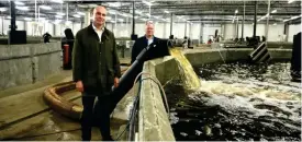  ?? FOTO: TOBIAS PETTERSSON ?? Det här är det andra bakslaget inom loppet av ett år för Fifax, som vill röja mark inom landbasera­d fiskodling.