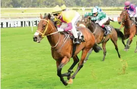 ?? Picture: JCPhotogra­phics ?? IMPROVEMEN­T. Firdoas should be able to step up her game and take the Secretaria­t Stakes at Turffontei­n tomorrow.
