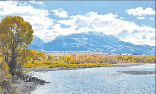  ?? Matthew Brown The Associated Press file ?? The Biden administra­tion has nominated a longtime environmen­tal advocate and Democratic aide Tracy Stone-Manning to oversee roughly 250 million acres of public lands as director of the Bureau of Land Management.