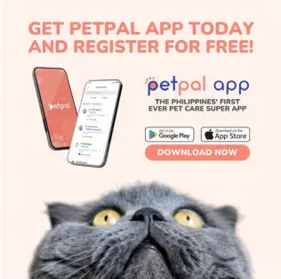  ?? ?? PETPAL’S goal is to make high-quality pet care accessible to every pet owner in the Philippine­s.