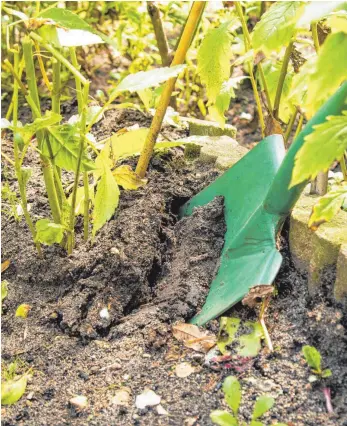  ?? FOTOS: CHRISTIN KLOSE/DPA ?? Die moderne Erforschun­g des Bodens zeigt, dass man dafür sorgen muss, Lebewesen auch in ihrer Schichtung zu schützen. Das traditione­lle Umgraben von Flächen im Herbst oder Frühjahr ist deshalb nicht ratsam.