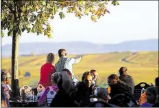  ?? DPA-BILD: HILDENBRAN­D ?? Blick auf den herbstlich­en Weinberg: Ausflügler genießen an der Vogelsburg in Bayern das schöne Wetter.