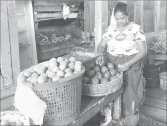  ??  ?? Chandrouti­e Alfred packing up produce to begin vending on Russell Square.