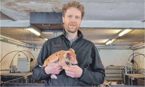  ?? FOTO: JULIA FREYDA ?? Landwirt Elmar Müller züchtet in Einhart die seltene Schweinera­sse Bunte Bentheimer.