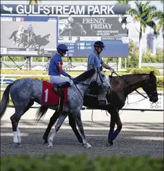  ?? ICON SPORTSWIRE ?? March 12 was the last day Gulfstream Park was open to the public, but racing has continued in Hallandale Beach, Florida, and at other tracks despite coronaviru­s-related restrictio­ns.