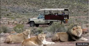  ??  ?? Game drives