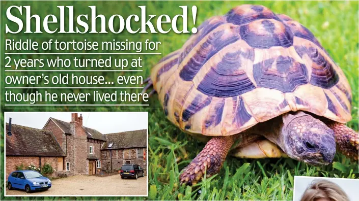  ??  ?? Mystery: Arnie the tortoise safe at home again. Inset: The family’s current house – where they moved 20 years ago, before buying Arnie