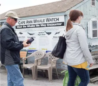  ?? GETTY IMAGES FILE ?? ALL ABOARD: Passengers prepare to board a whale watching boat in Gloucester.