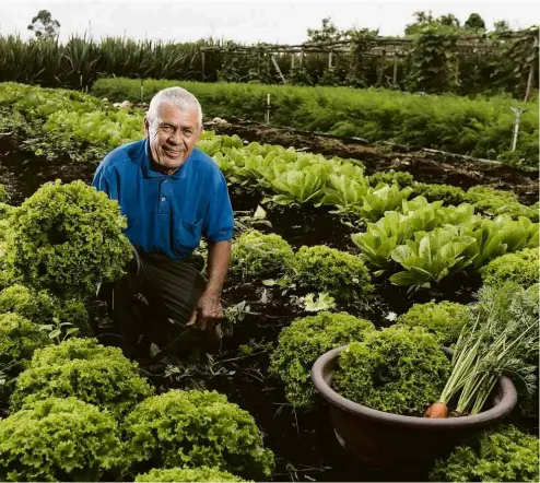  ?? Keiny Andrade/Folhapress ?? Ivo Bernardo da Silva, que produz 37 variedades de alimentos, entre hortaliças e condimento­s, em Mogi das Cruzes (SP)