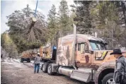  ?? ROBERTO E. ROSALES/JOURNAL ?? This year’s Capitol Christmas tree cut from the Carson National Forest being loaded on an 18-wheeler bound for Washington D.C.